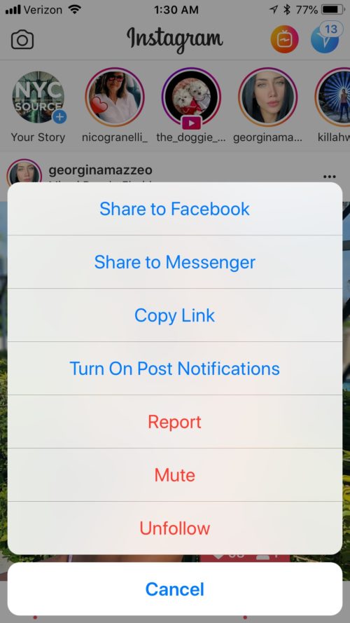 how to find muted accounts on instagram