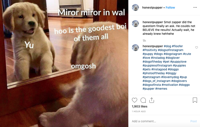 All posts by .dogsthebogs