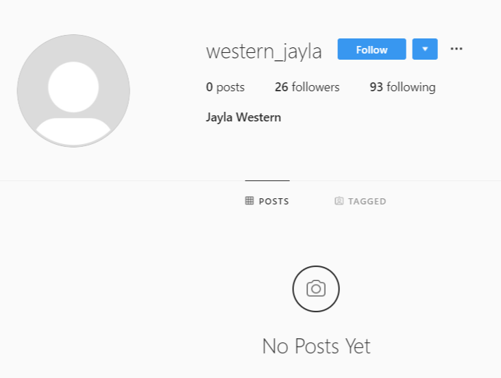 How To Find Inactive Users I'm Following on Instagram No Picture Sample