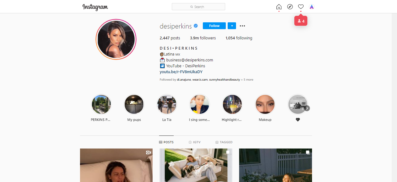 Desi Perkins Top Instagram Influencer