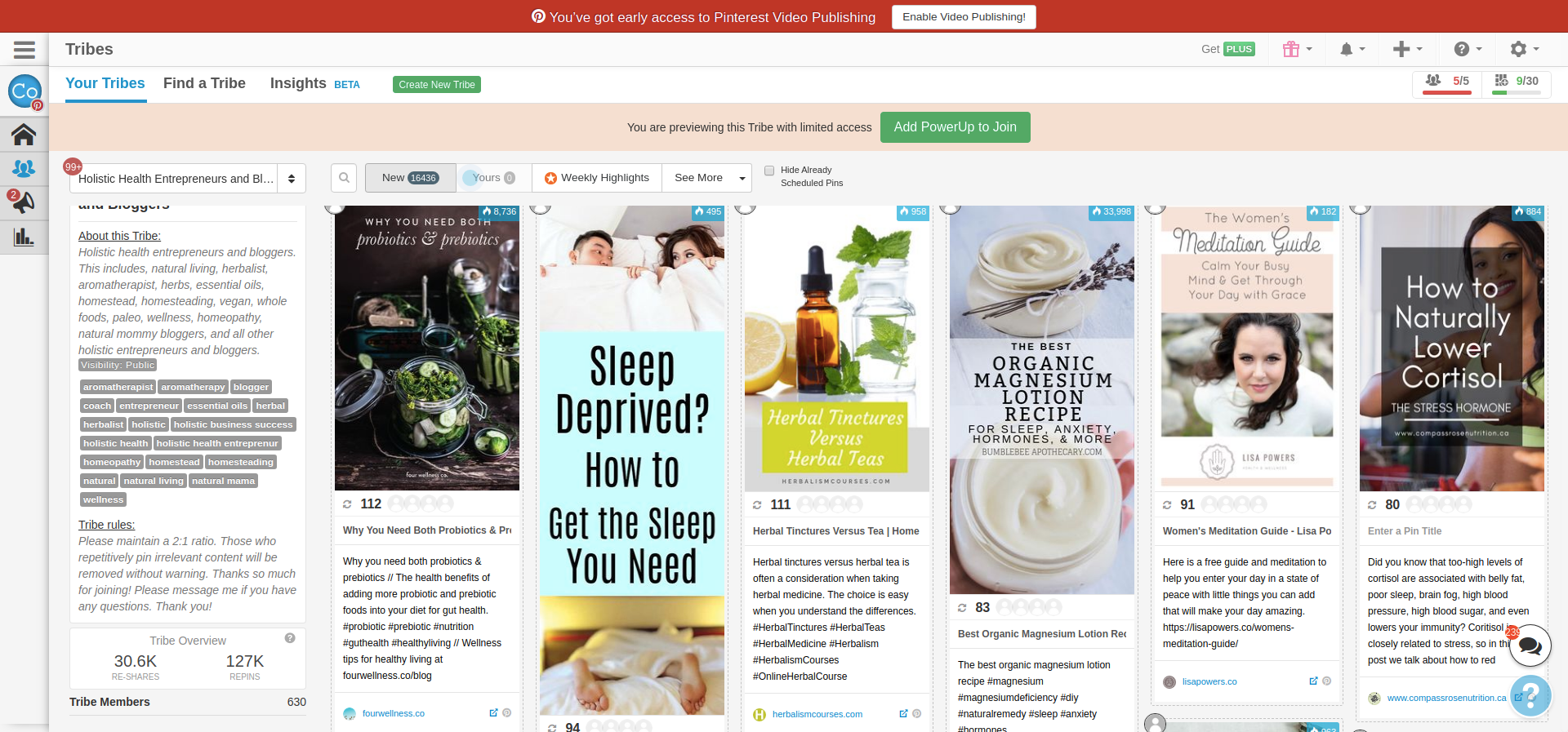 Holistic Health Entreprenuerand Bloggers Top Tailwind Tribes