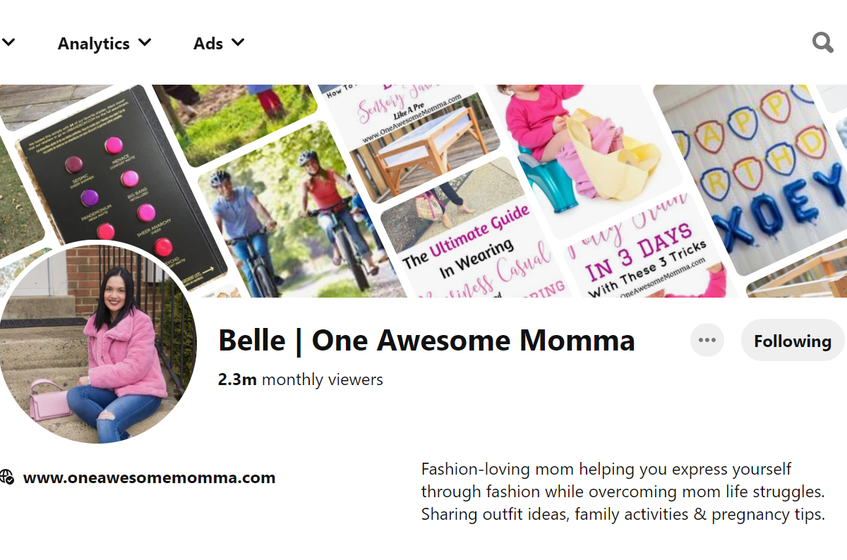 Belle | One Awesome Momma Pinterest Account
