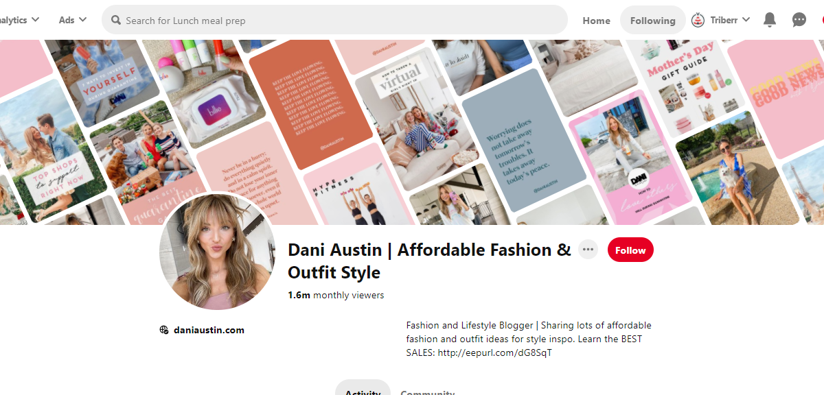 Dani Austin | Affordable Fashion & Outfit Style Pinterest Profile