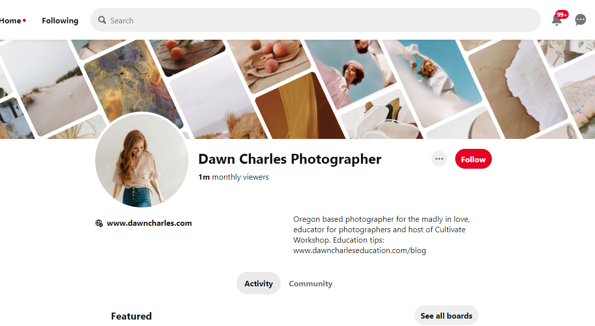 Dawn Charles Photographer-100 Pinterest Photography Influencers