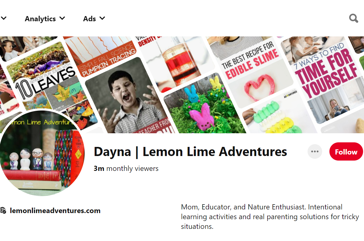 Dayna | Lemon Lime Adventures Pinterest Account