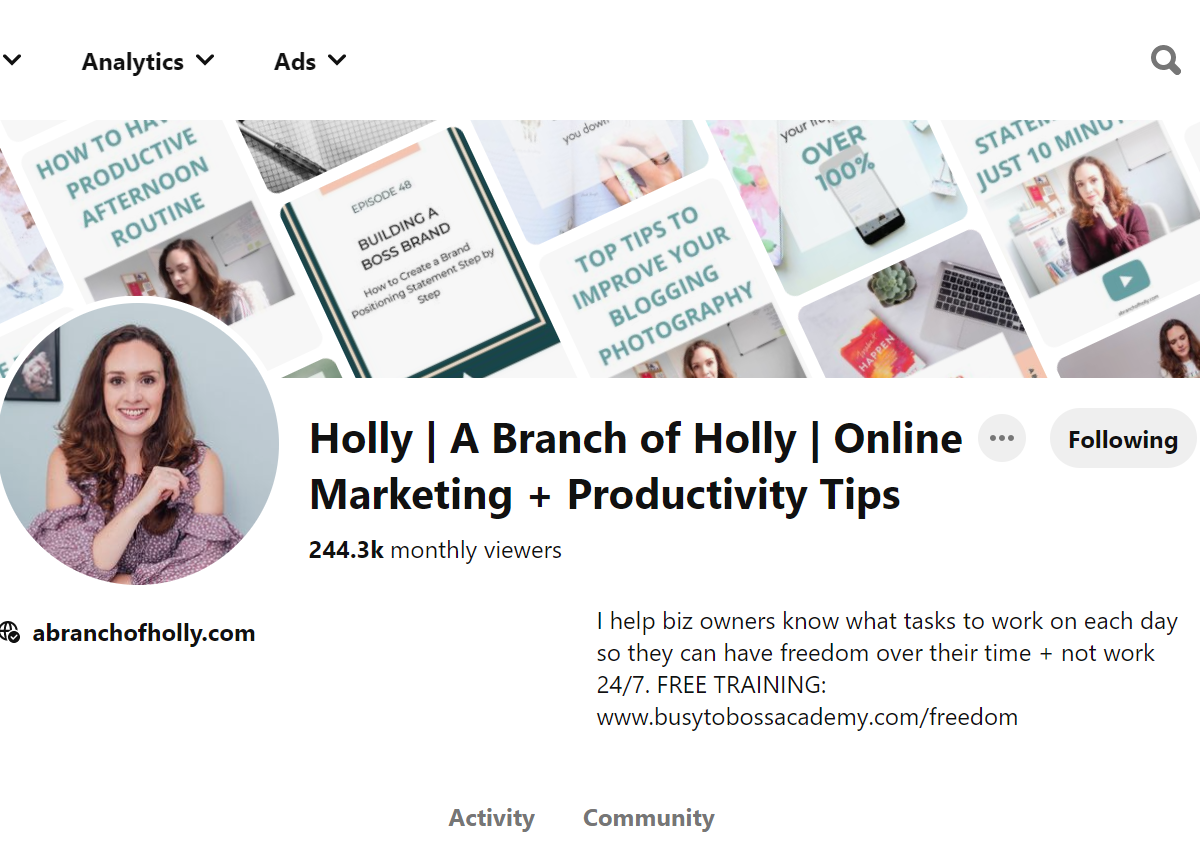 Holly | A Branch of Holly | Online Marketing + Productivity Tips Pinterest Account