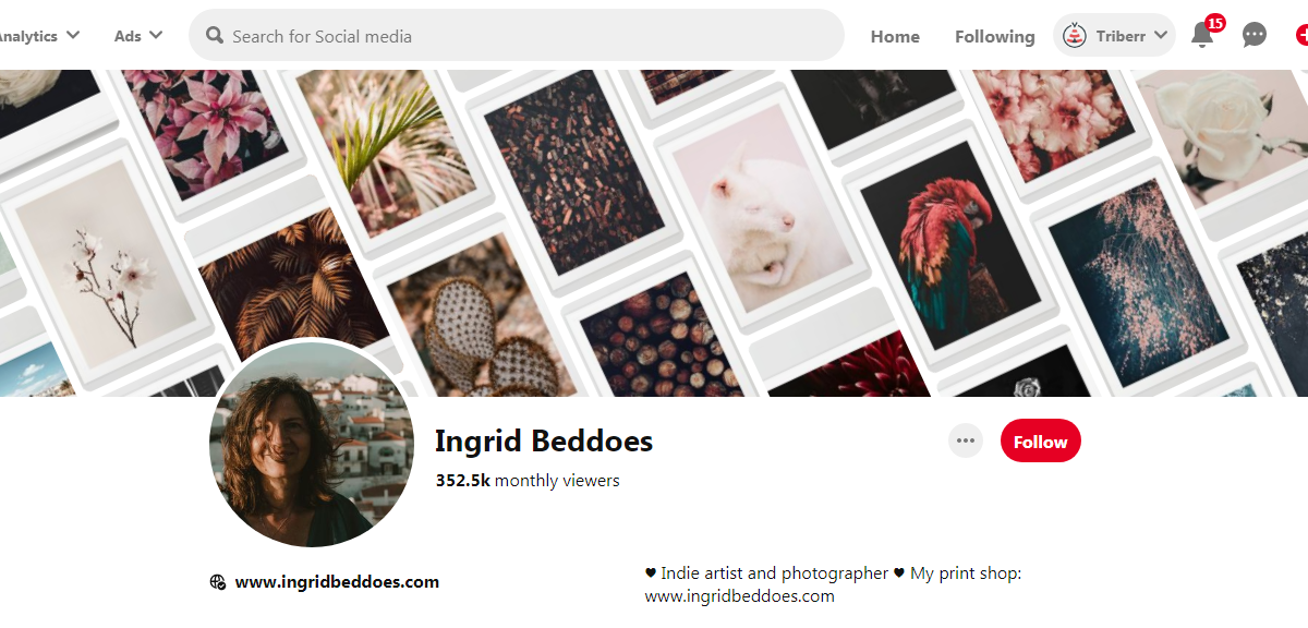 Ingrid Beddoes-100 Pinterest Photography Influencers