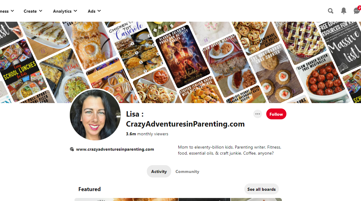 Lisa : CrazyAdventuresinParenting.com Pinterest Account