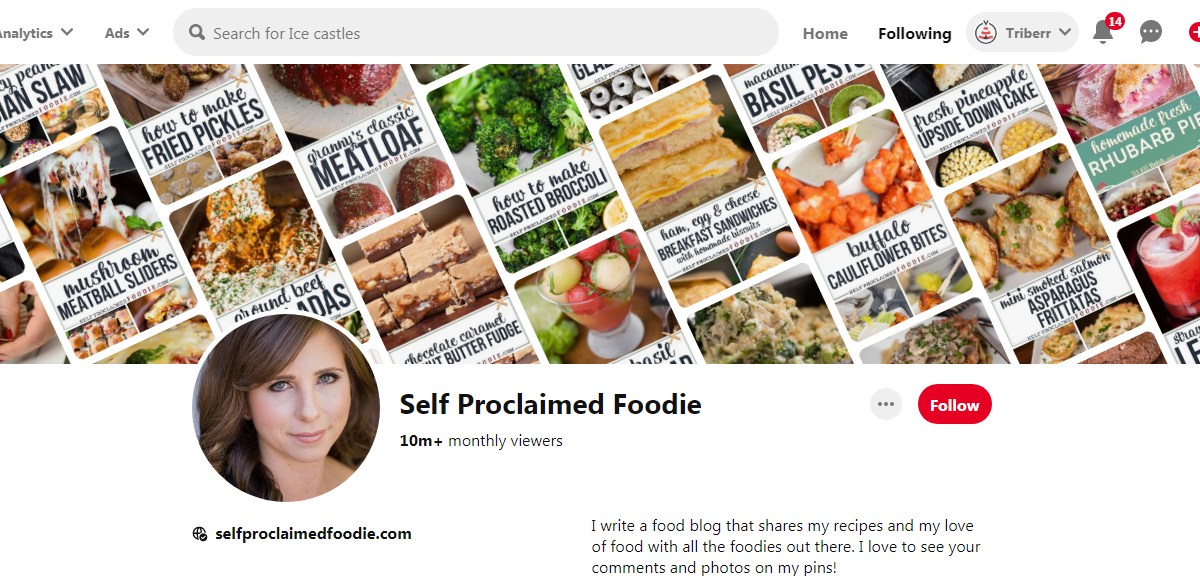 Self Proclaimed Foodie Pinterest Profile