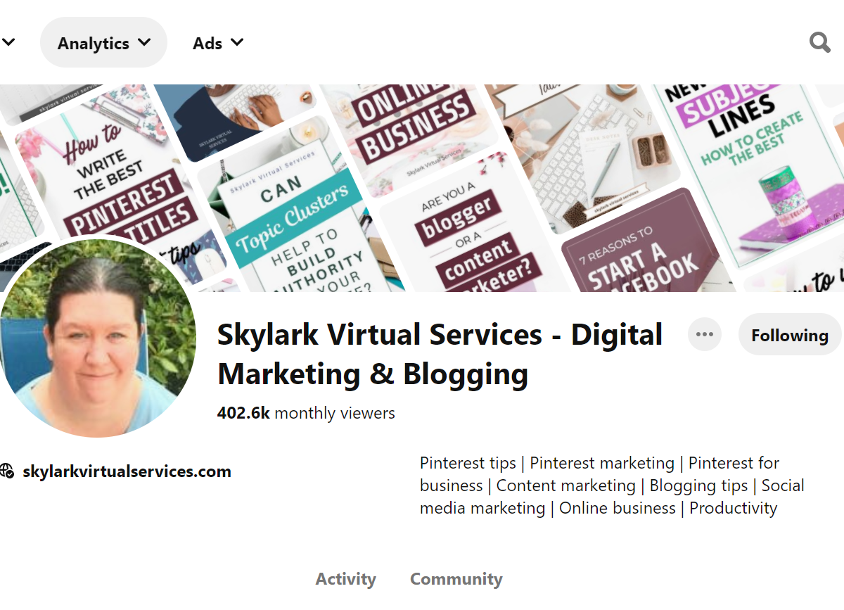 Skylark Virtual Services - Digital Marketing & Blogging Pinterest Account