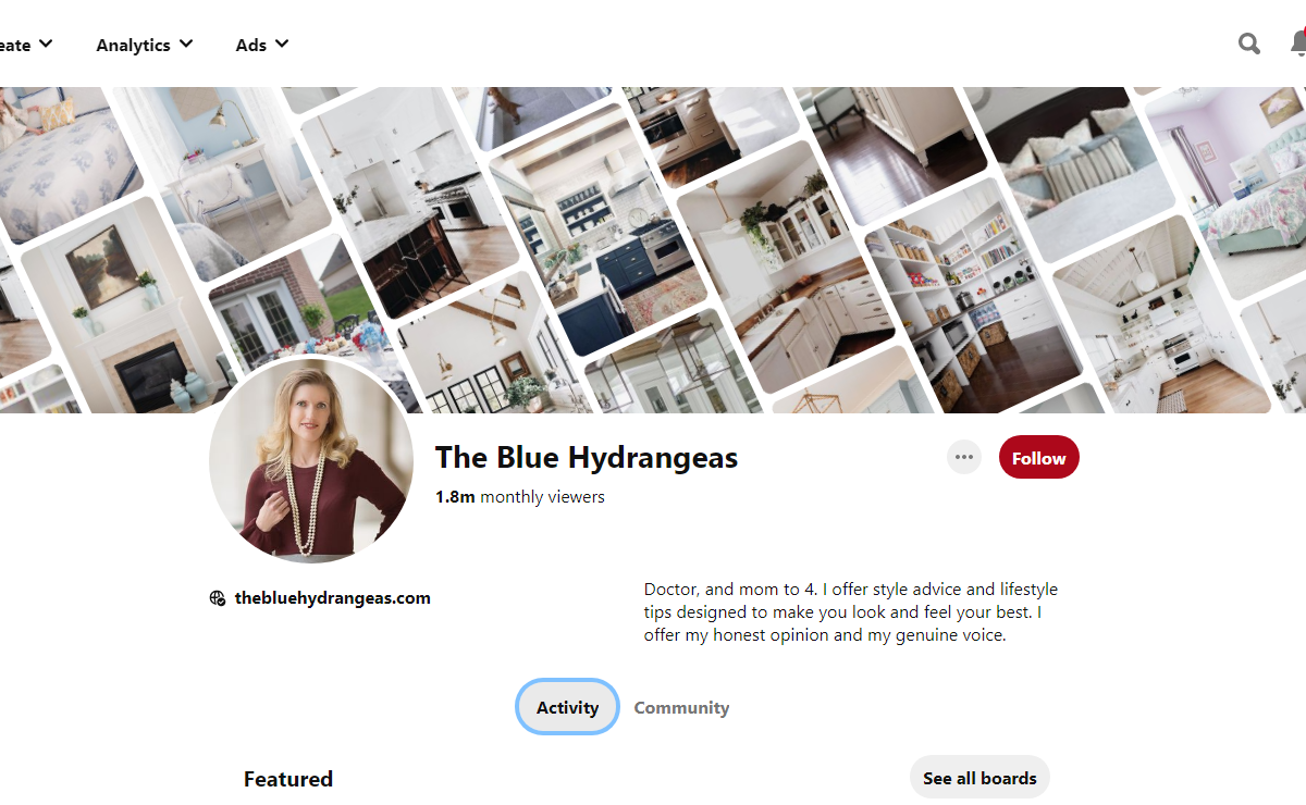 The Blue Hydrangeas Pinterest Profile