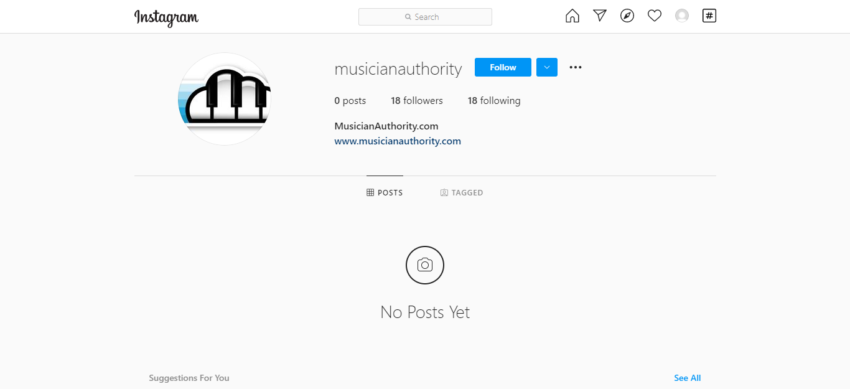 Musician Authority How Successful Instagram Brands Build Thriving Businesses with Small But Engaged Communities