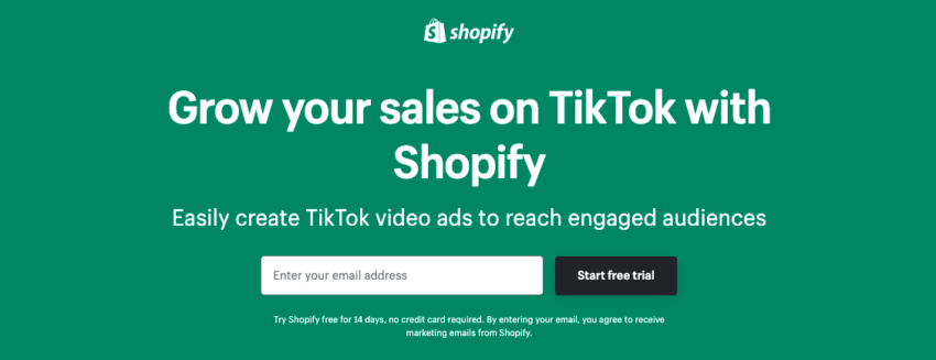 TikTok on Shopify